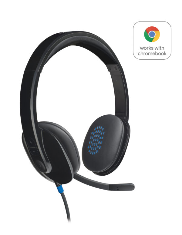 CUFFIA CON MICROFONO USB H540 HEADSET