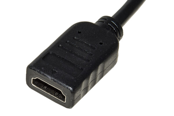 ADATTATORE DP-HDMI M/F CON CAVO DISPLAYPORT A HDMI LINK