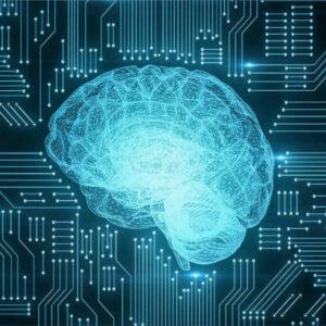 LICENZA EDUPORTAL VR PER SINGOLO VISORE ELETTRONICA (NON INCL VISORE